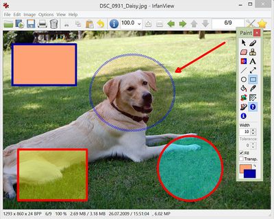 Irfanview screenshot